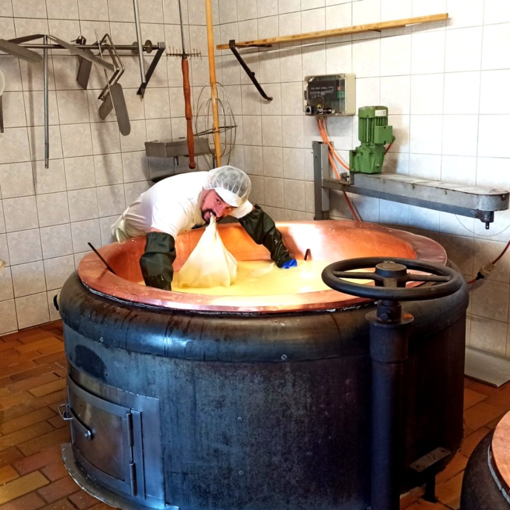 Käsekurs auf der Alm – Käse selber machen lernen in Kärnten