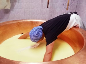 Herausheben des Käses beim Käsekurs auf der Straniger Alm